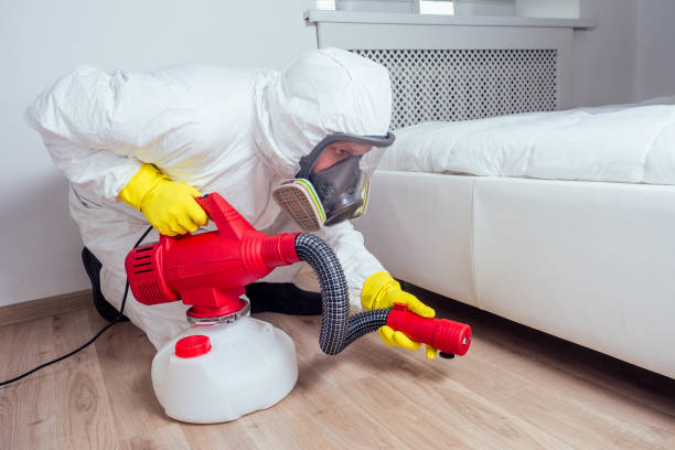 Emergency Pest Control in Iron Mountain, MI